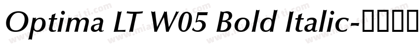 Optima LT W05 Bold Italic字体转换